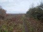Stratford to Norton Lindsey 173