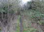 Stratford to Norton Lindsey 175