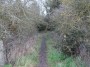 Stratford to Norton Lindsey 180
