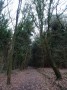 Stratford to Norton Lindsey 181