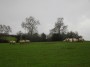 Stratford to Norton Lindsey 202