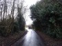 Norton Lindsey to Warwick 12