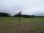 Norton Lindsey to Warwick 45 Norton Lindsey to Warwick 45
