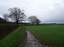 Norton Lindsey to Warwick 58