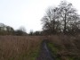 Warwick to Kenilworth 18 Warwick to Kenilworth 18