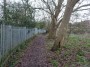 Warwick to Kenilworth 47