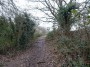 Warwick to Kenilworth 50