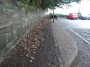 Warwick to Kenilworth 74