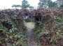 Warwick to Kenilworth 96 Warwick to Kenilworth 96