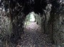 Warwick to Kenilworth 97 Warwick to Kenilworth 97
