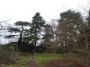 Warwick to Kenilworth 98