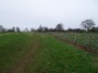 Warwick to Kenilworth 107