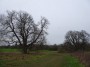 Warwick to Kenilworth 109