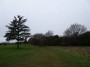 Warwick to Kenilworth 110 Warwick to Kenilworth 110