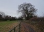 Warwick to Kenilworth 136