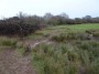 Warwick to Kenilworth 142