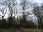 Warwick to Kenilworth 156