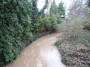 Warwick to Kenilworth 181