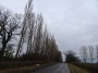 Warwick to Kenilworth 198