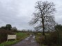 Kenilworth to Coventry 4 Kenilworth to Coventry 4
