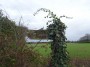 Kenilworth to Coventry 5