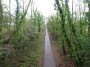 Kenilworth to Coventry 11