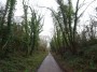 Kenilworth to Coventry 15 Kenilworth to Coventry 15
