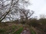 Kenilworth to Coventry 39 Kenilworth to Coventry 39