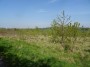 Kenilworth to Coventry 40
