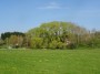 Kenilworth to Coventry 48