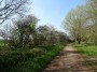 Kenilworth to Coventry 52