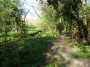 Kenilworth to Coventry 76