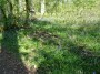 Kenilworth to Coventry 77