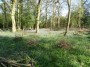 Kenilworth to Coventry 79
