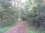 Kenilworth to Coventry 80