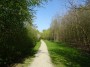 Kenilworth to Coventry 81
