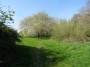 Kenilworth to Coventry 85