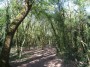 Kenilworth to Coventry 86