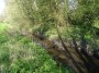 Kenilworth to Coventry 87