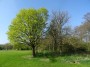 Kenilworth to Coventry 91