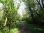Kenilworth to Coventry 92