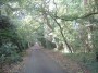 Kenilworth to Coventry 97