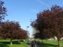 Kenilworth to Coventry 105