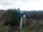 Coventry to Meriden 7
