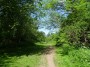 Coventry to Meriden 28
