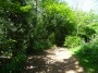 Coventry to Meriden 34
