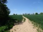 Coventry to Meriden 53
