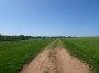 Coventry to Meriden 80