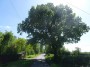 Coventry to Meriden 84 Coventry to Meriden 84