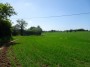 Coventry to Meriden 85